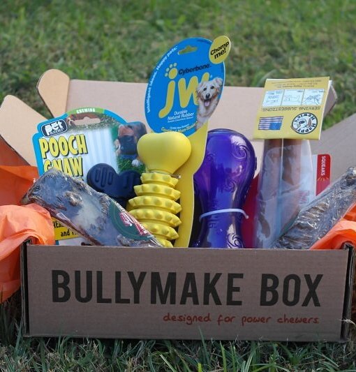 bullymake amazon