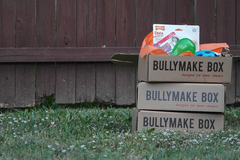 bullymake amazon