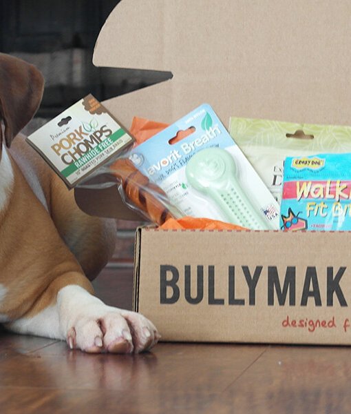 bullymake amazon