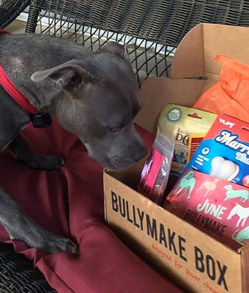 bullymake toys amazon