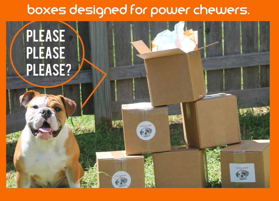 Bullymake Box A Dog Subscription Box For Power Chewers!