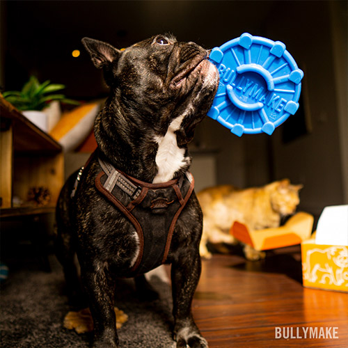 Bullymake Rubber Dog Toy – Arnall Grocery